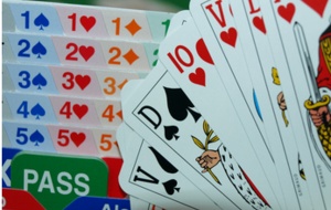 Session 2 heures 1 thème : Les chelems